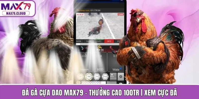 Đá Gà Cựa Dao Max79 - Thưởng Cao 100tr | Xem Cực Đã