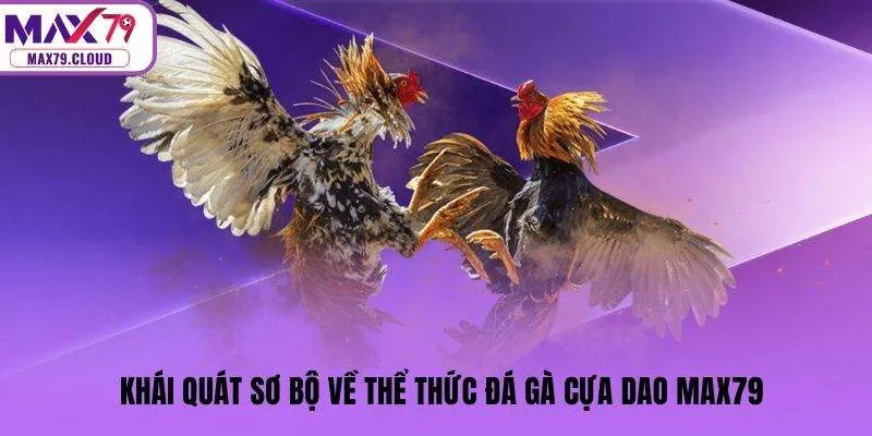 Khái quát sơ bộ về thể thức đá gà cựa dao MAX79