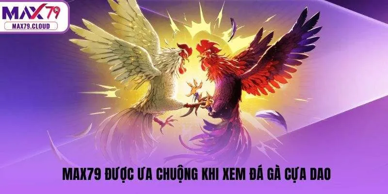 MAX79 được ưa chuộng khi xem đá gà cựa dao