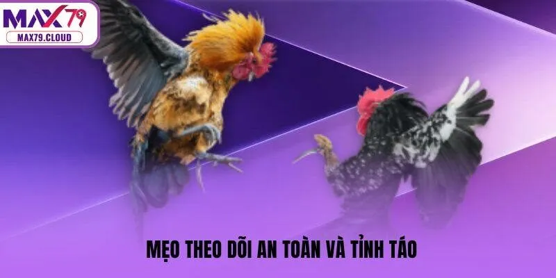 Mẹo theo dõi an toàn và tỉnh táo