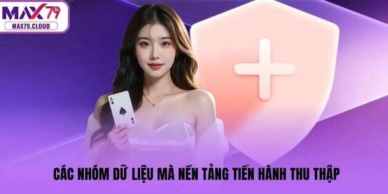 Các nhóm dữ liệu mà nền tảng tiến hành thu thập