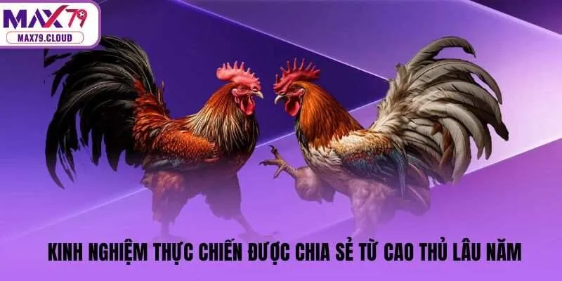 Kinh nghiệm thực chiến được chia sẻ từ cao thủ lâu năm